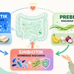 Sering Dianggap Sama, Ini Fungsi Probiotik, Prebiotik, dan Sinbiotik