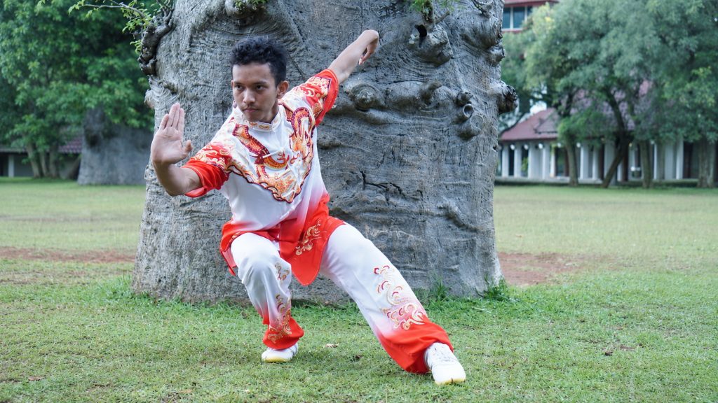 wushu boy